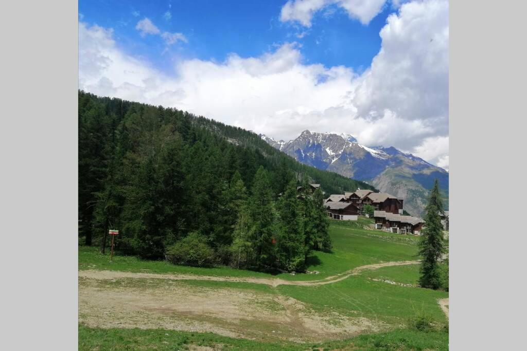 Appartement Puy Saint Vincent Alpes Du Sud Ete - Hiver Пюї-Сен-Венсан Екстер'єр фото